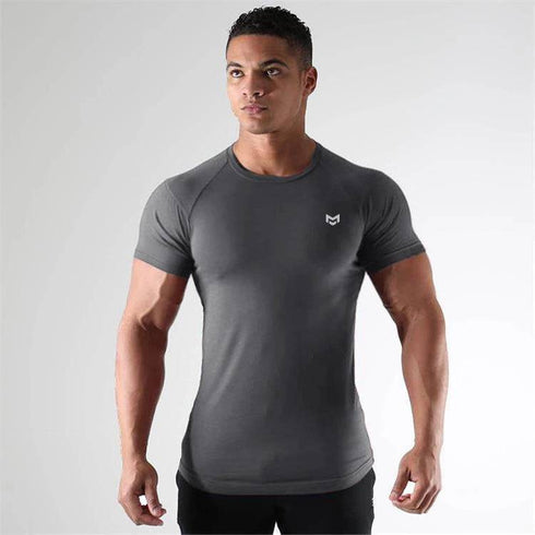 Men's Gym Short Sleeve T-shirt Quick Dry